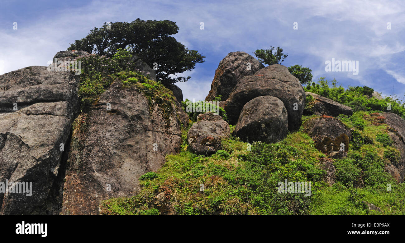 granit rocks in Knuckles Mountain Range, Sri Lanka, Knuckles Mountain Range Stock Photo