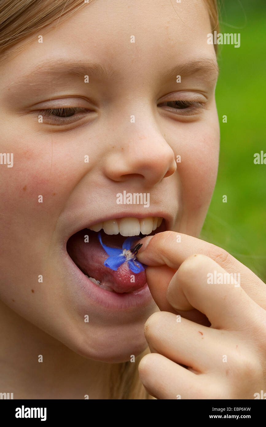 common borage (Borago officinalis), girl with an edible flower on her tongue Stock Photo