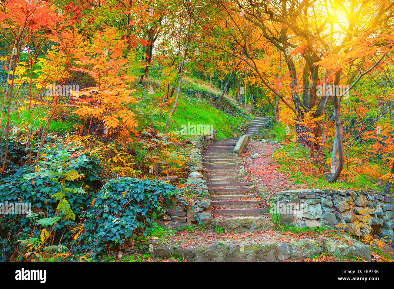Botanical Garden in Tbilisi in autumn, Georgia country Stock Photo