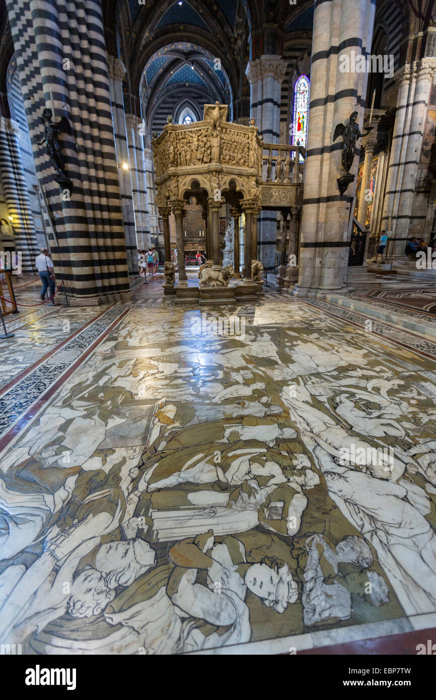 Siena Cathedral Floor Stock Photos Siena Cathedral Floor Stock