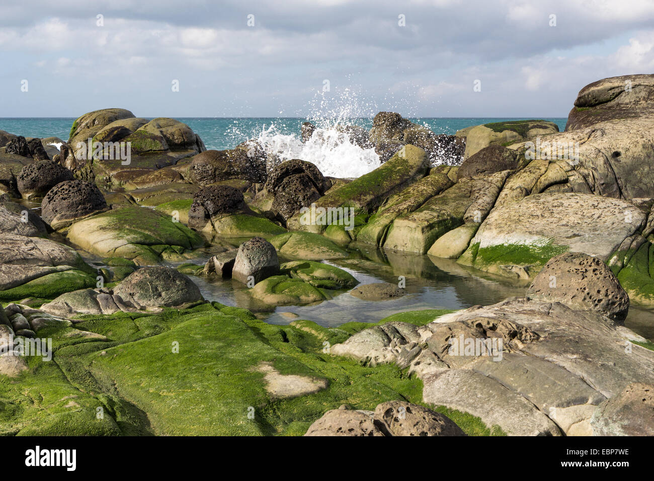 Wave crashing on rocks covered in green seaweed on shore Stock Photo