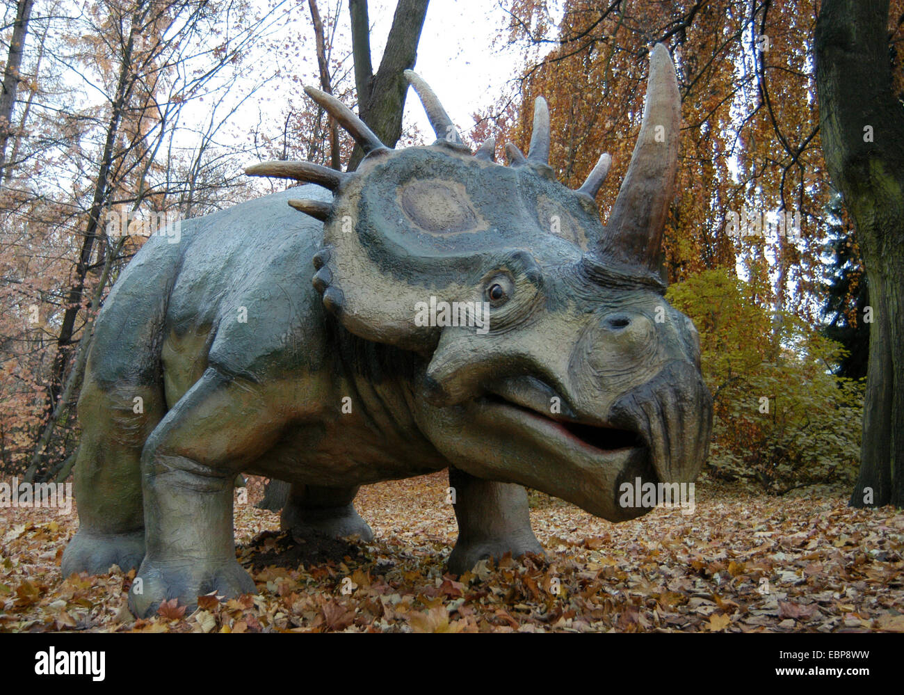 Styracosaurus (Styracosaurus albertensis). Life size model in the Dinopark at Plzen Zoo in Western Bohemia, Czech Republic. Stock Photo