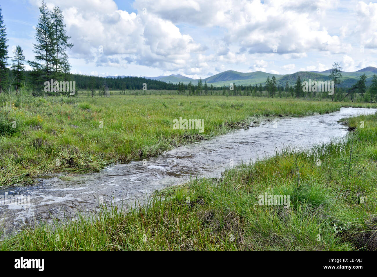 Water summer landscape surrounding the river Suntar in the Highlands of Oymyakon, Yakutia, Russia. Stock Photo
