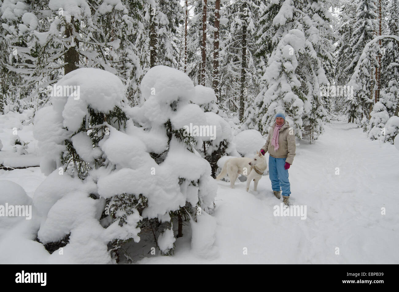 The woman with a dog on walk in a winter wood Stock Photo - Alamy