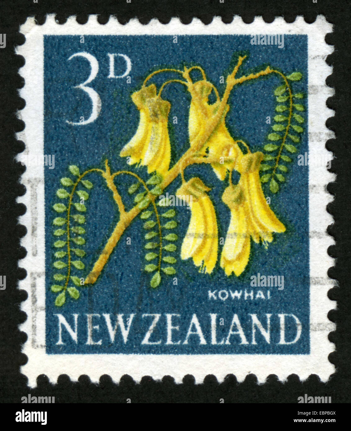 New Zealand, CIRCA :1963-10-03, series:Third pictorials, Trees, plants, flora, flowers, stamp, Kowhai (Sophora microphylla) Stock Photo