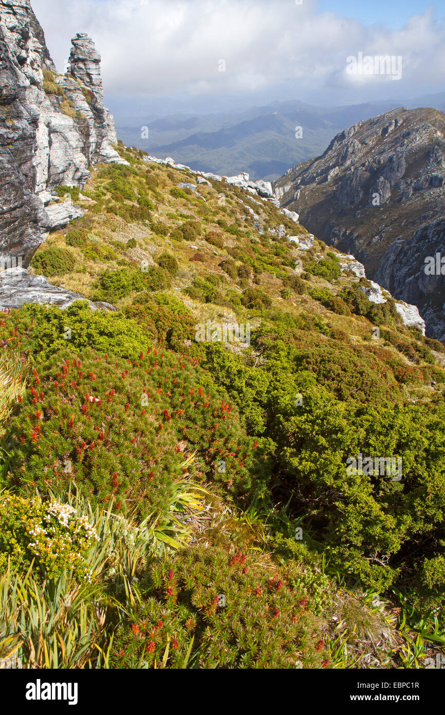 View from the slopes of Frenchmans Cap, one of the most prominent