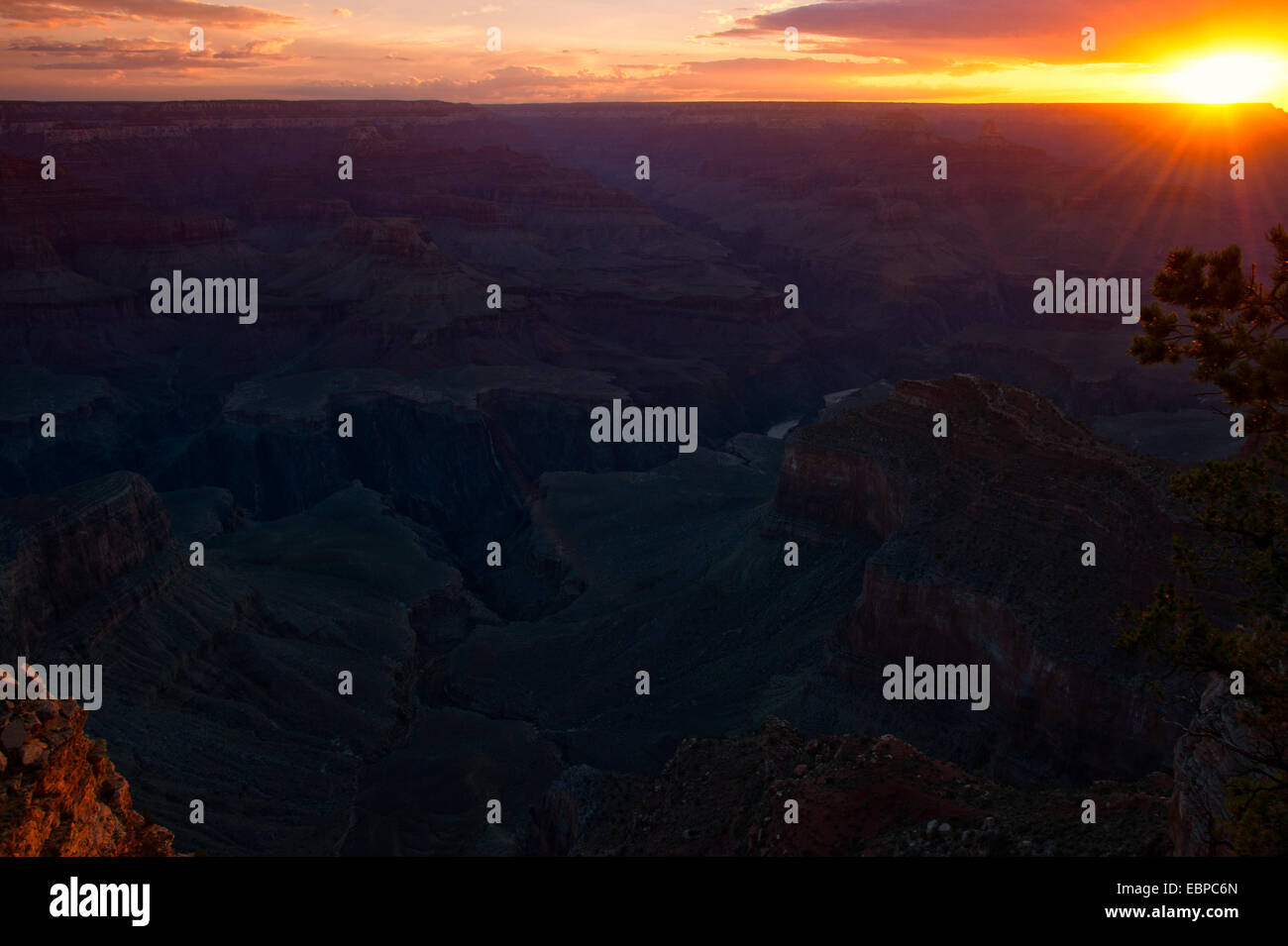 Rock formations in a canyon at dusk, Grand Canyon, Grand Canyon National Park, Arizona, USA Stock Photo
