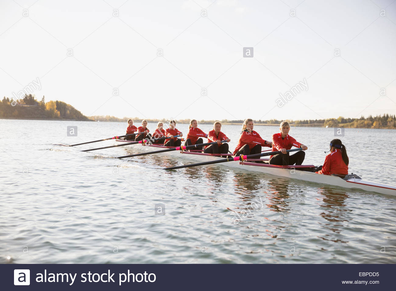 Rowing team in scull on sunny river Stock Photo
