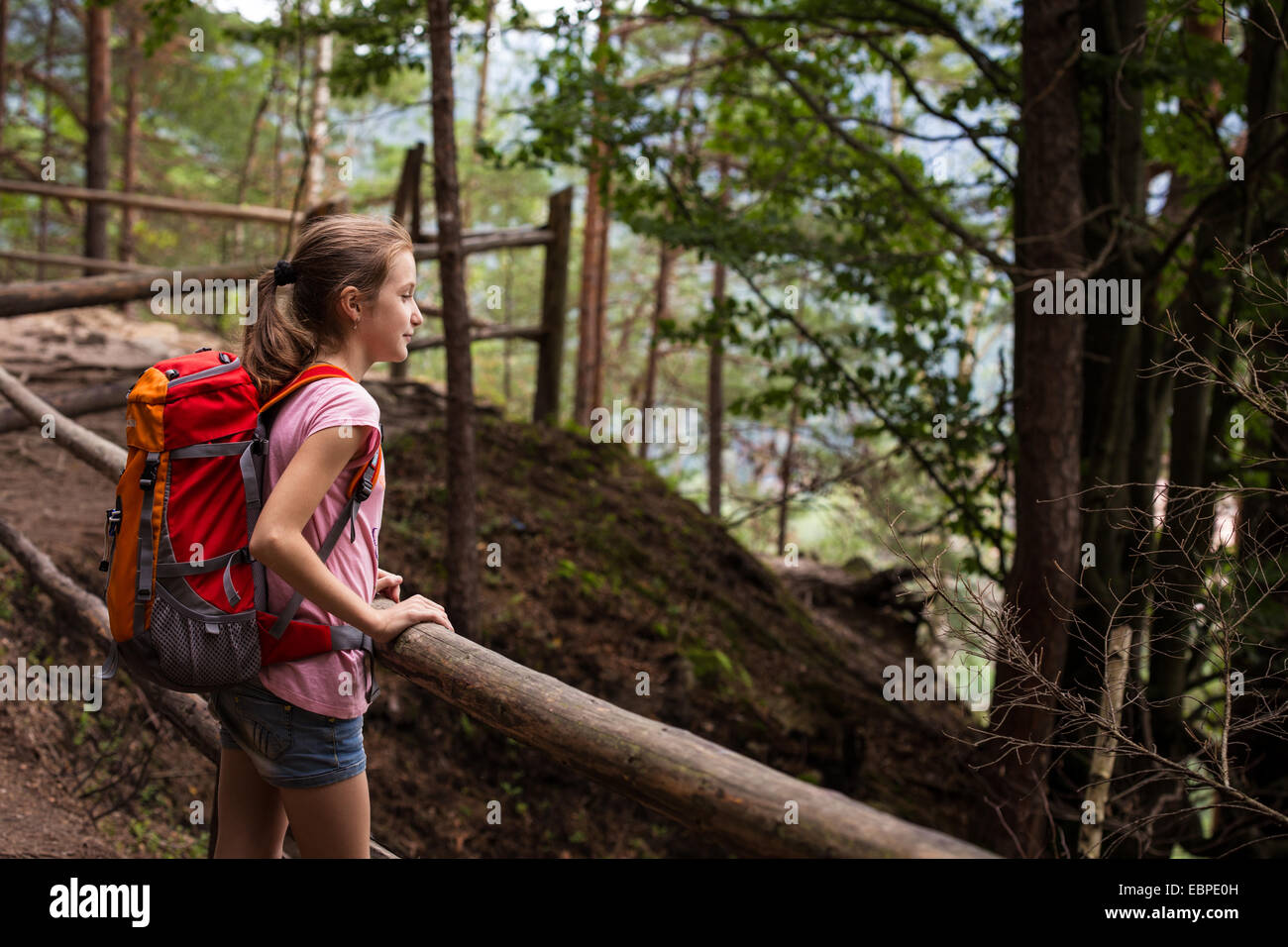 girl hiker on a path at the forest Stock Photo - Alamy