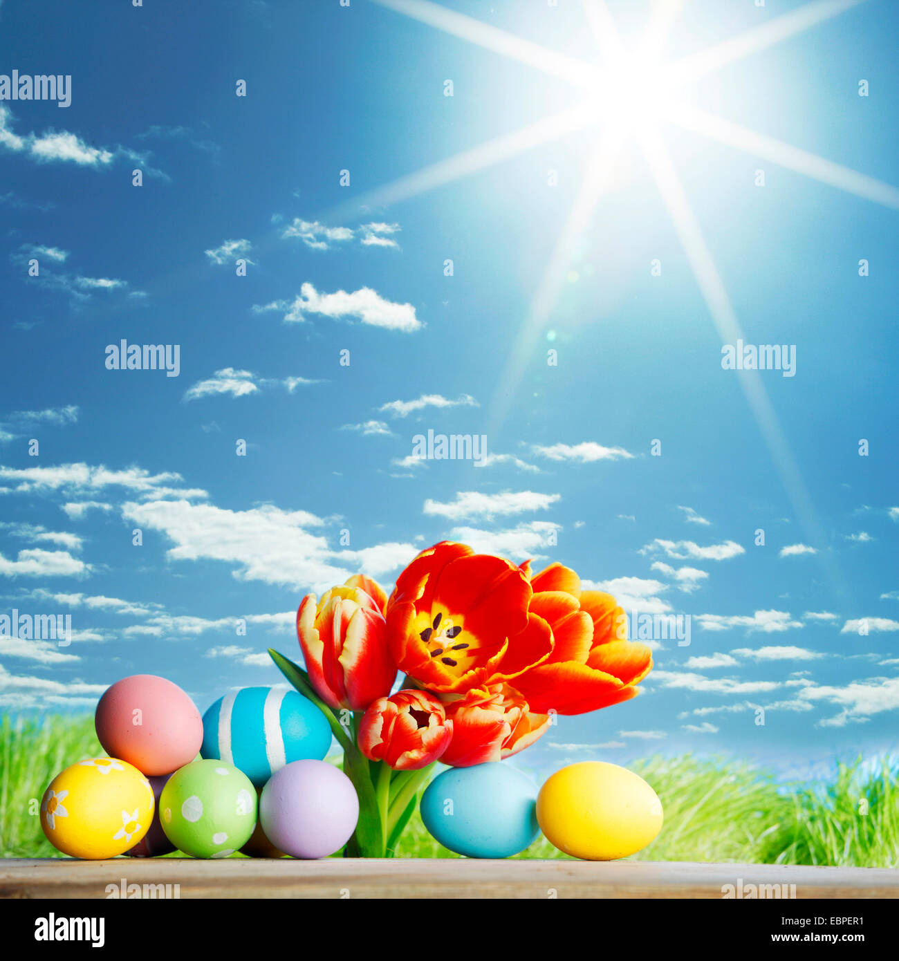 Easter eggs with tulips on spring grass background Stock Photo - Alamy
