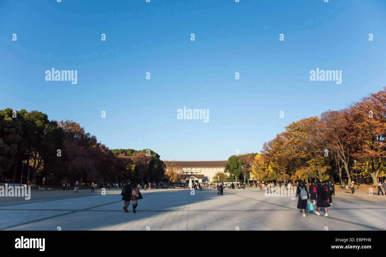 Autumn color,Ueno Park,TaitoKu,Tokyo,Japan Stock Photo Alamy