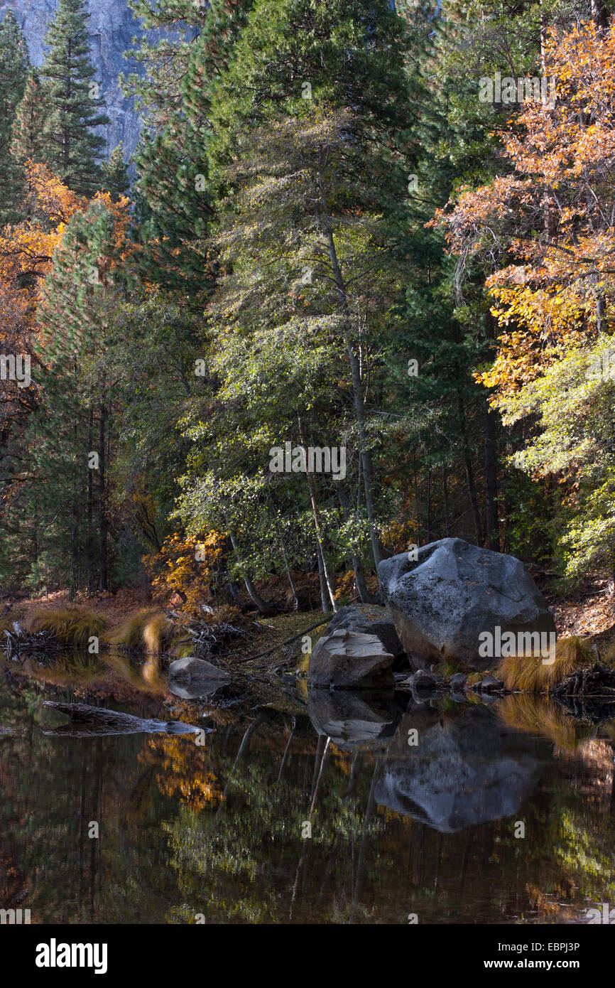 Fall scene on the Merced River. Yosemite Valley, Yosemite National Park, Mariposa County, California, USA Stock Photo