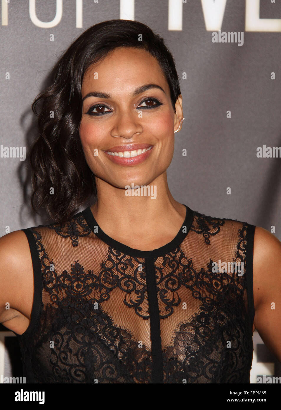 New York, USA. 3rd Dec, 2014. Actress ROSARIO DAWSON attends the New