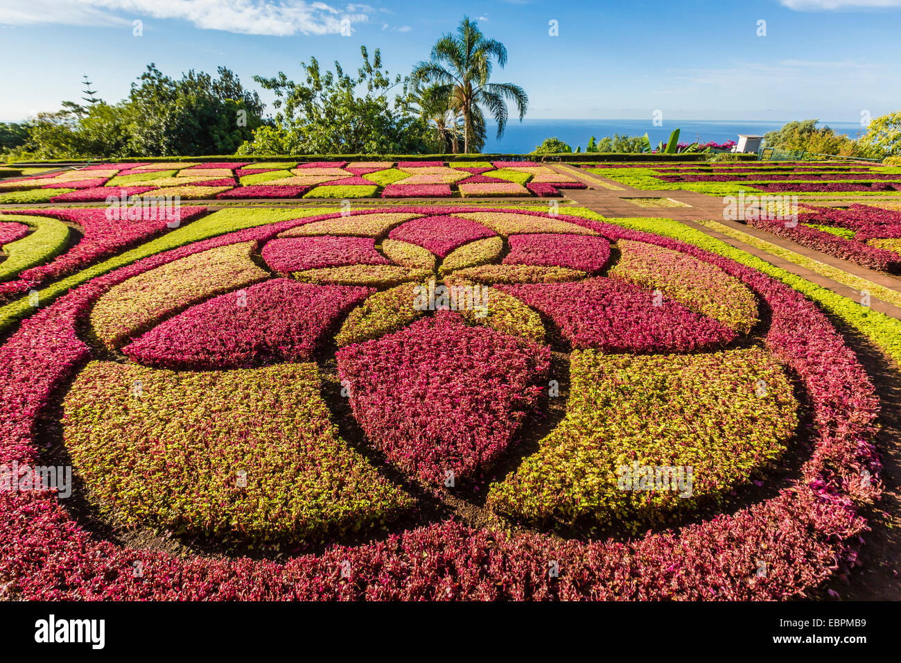 A view of the Botanical Gardens, Jardim Botanico do Funchal, in the city of Funchal, Madeira, Portugal, Europe Stock Photo