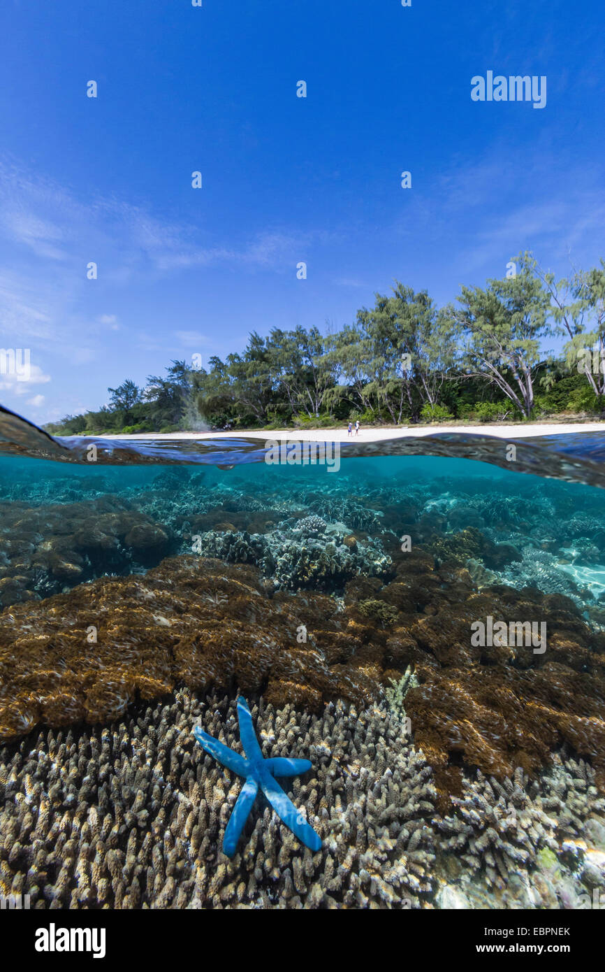 Above and below view of coral reef and sandy beach on Jaco Island, Timor Sea, East Timor, Southeast Asia, Asia Stock Photo