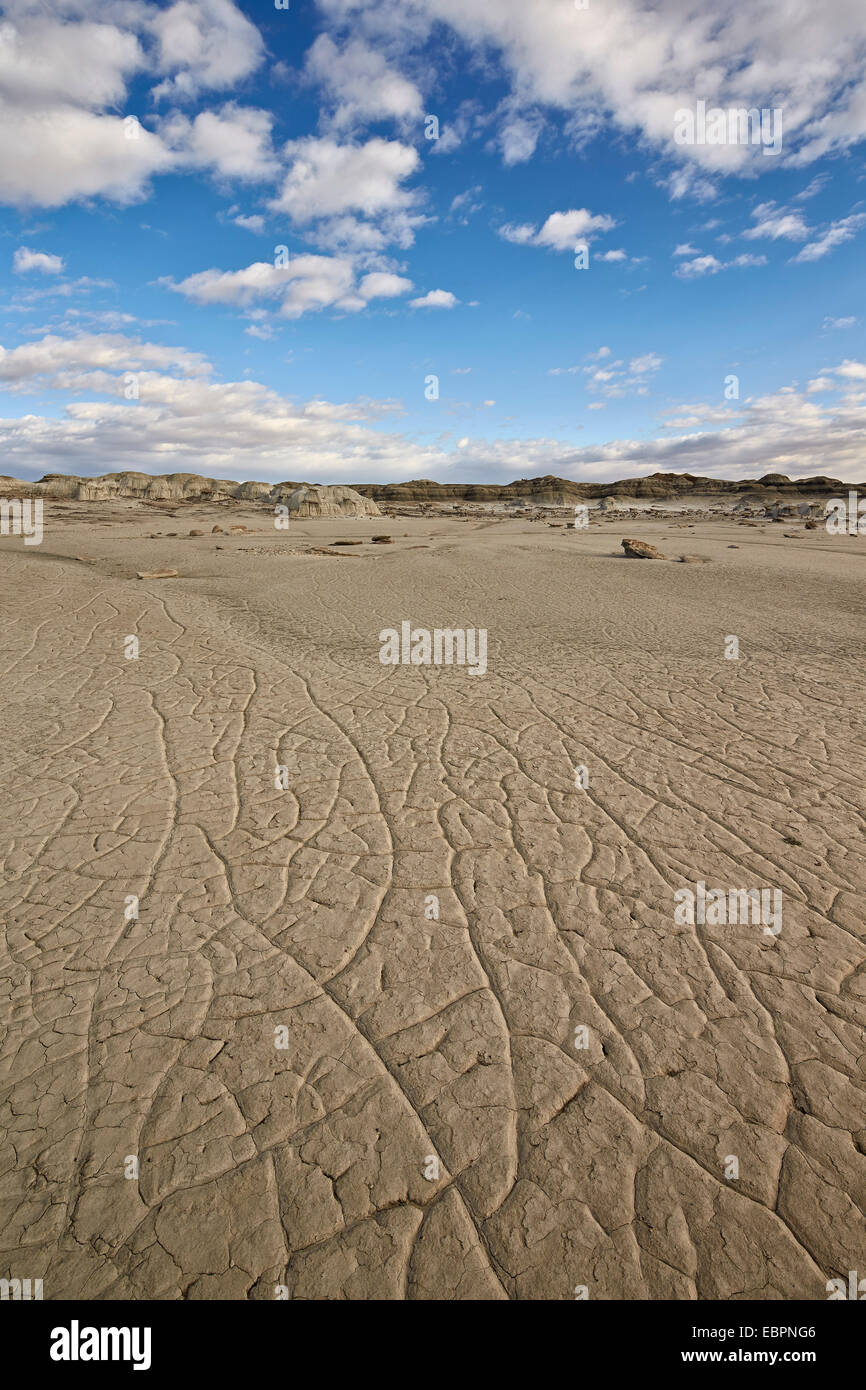 Cracked ground, Bisti Wilderness, New Mexico, United States of America, North America Stock Photo