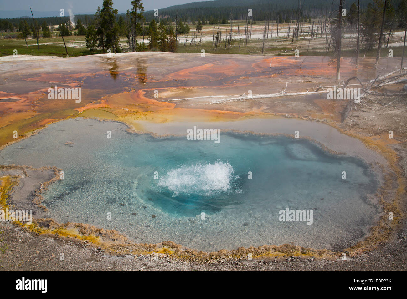 Firehole Spring, Firehole Lake Drive, Yellowstone National Park, UNESCO World Heritage Site, Wyoming, United States of America Stock Photo