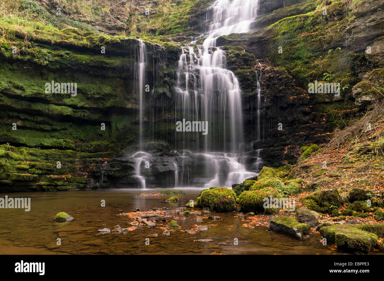 Scaleber Force (Foss Waterfall) near Settle, North Yorkshire, Yorkshire, England, United Kingdom, Europe Stock Photo