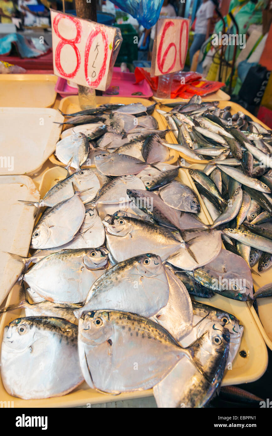 Fish for sale at the public market, Dumaguete, Cebu, The Visayas