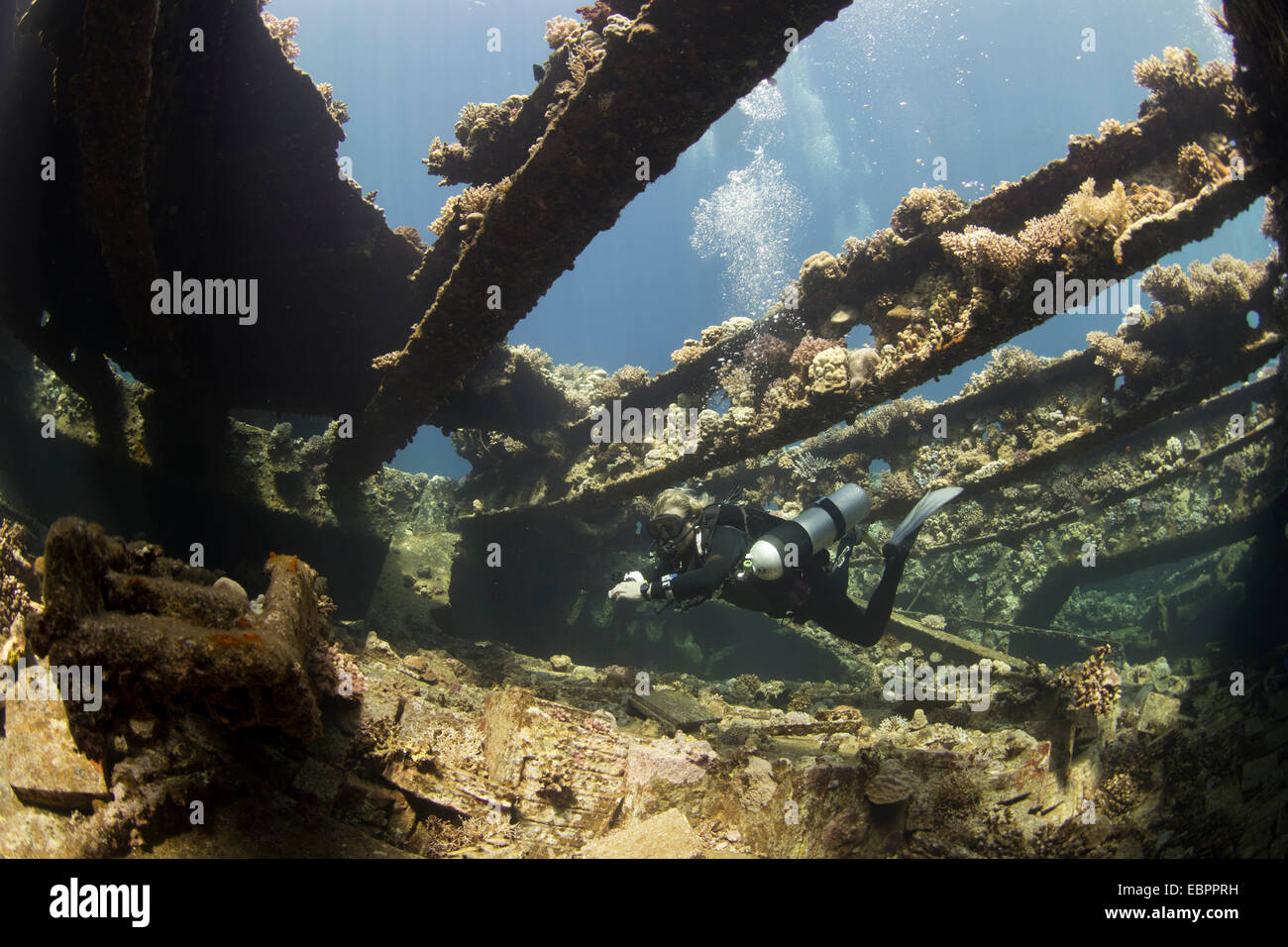 Diving the wreck of The Giannis D, Red Sea, Egypt, North Africa, Africa Stock Photo