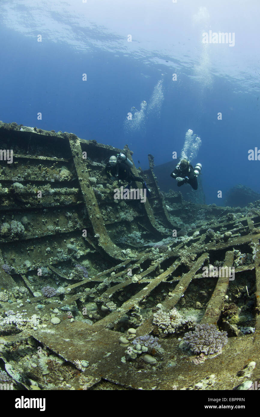 Diving the wreck of The Giannis D, Red Sea, Egypt, North Africa, Africa Stock Photo