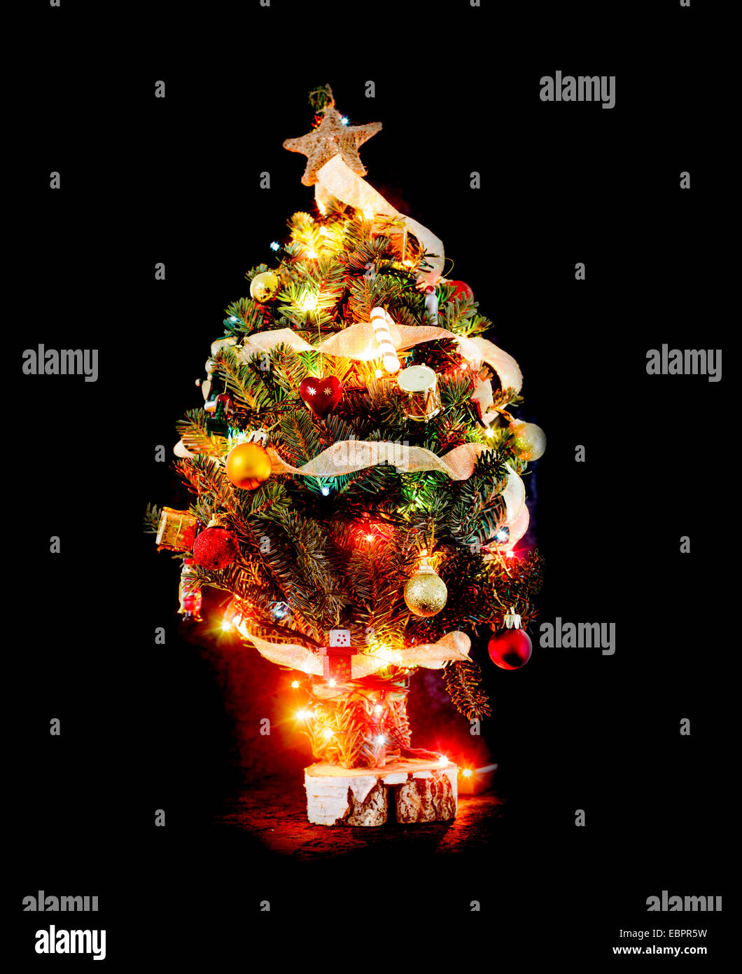 Little Christmas Tree 