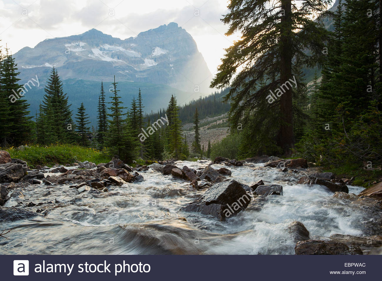 Might Rushing River Rushing mountain river hi-res stock photography and images - Alamy