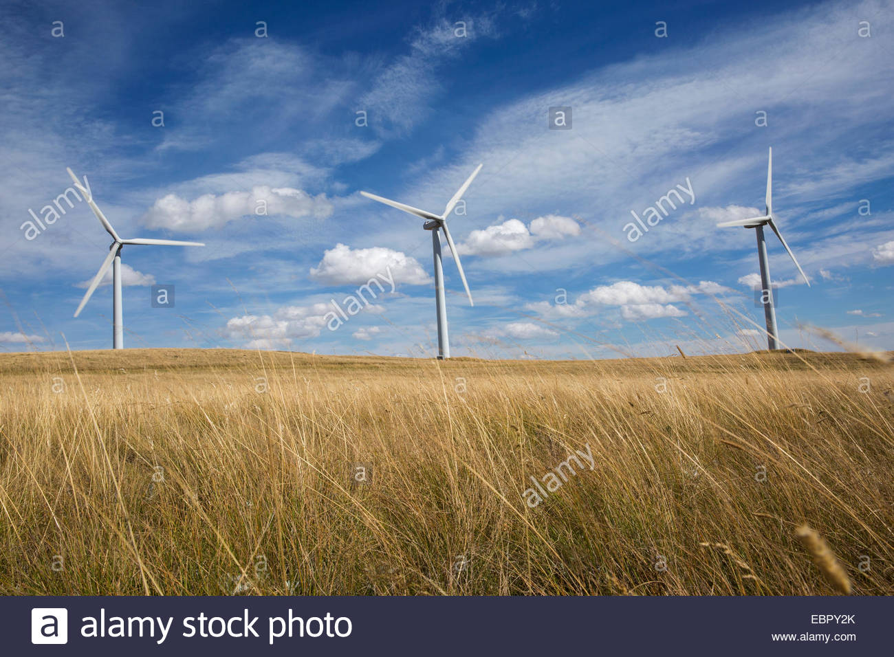 Wind turbines in sunny rural field Stock Photo