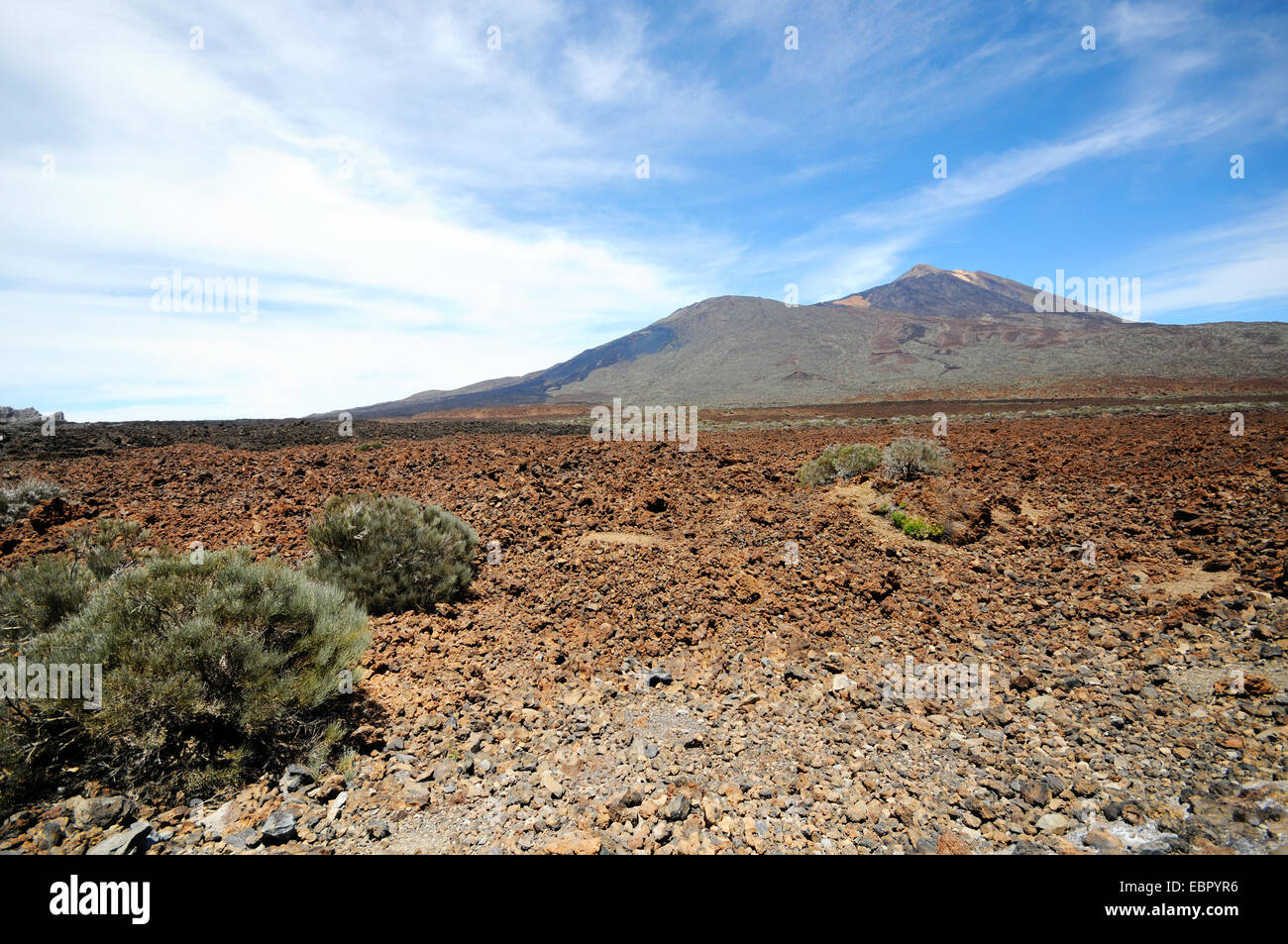 Pico del Teide Vulcano at El Teide national park in Tenerife (Spain) Stock Photo