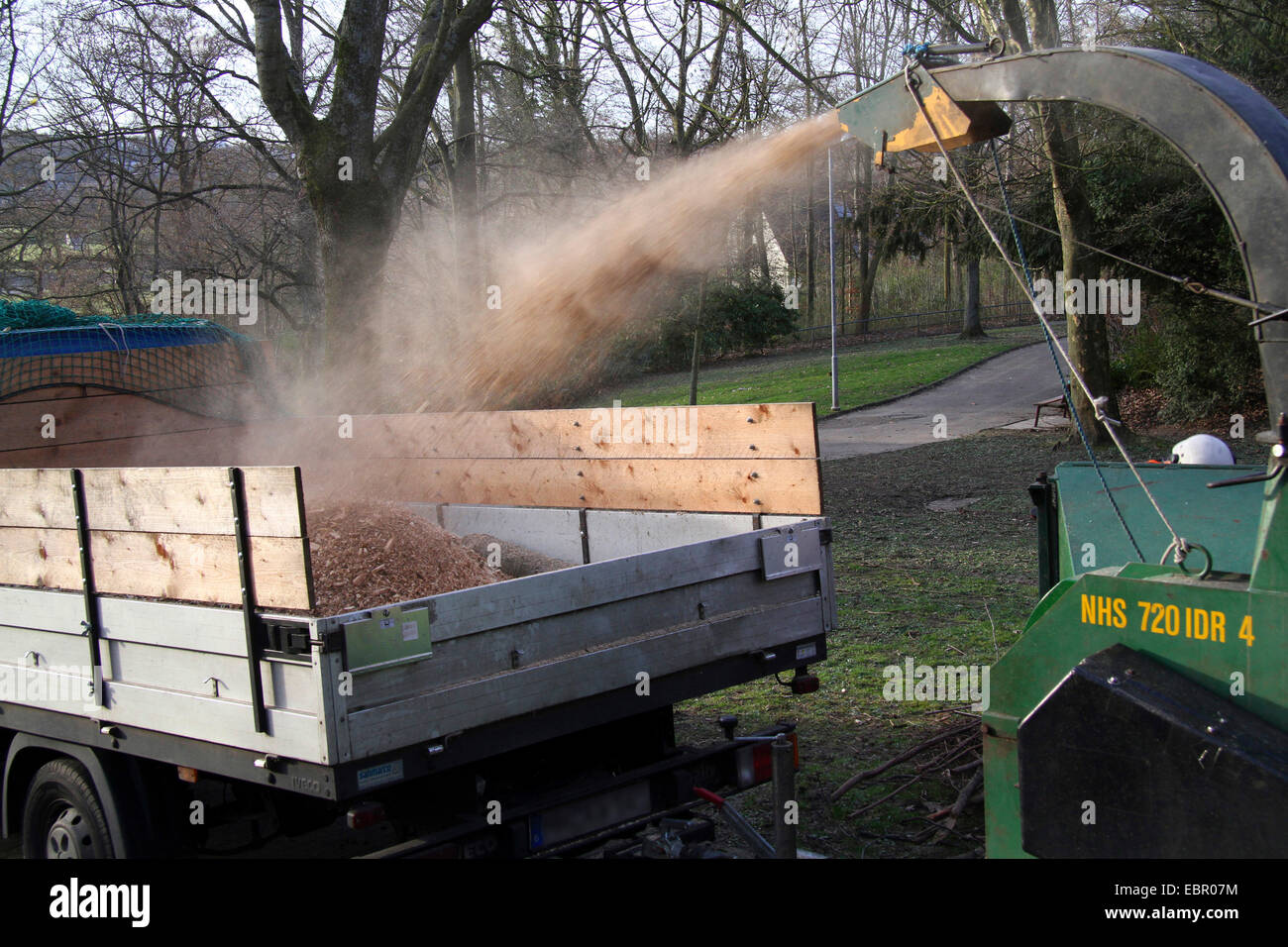 chaffcutter in action, Germany Stock Photo