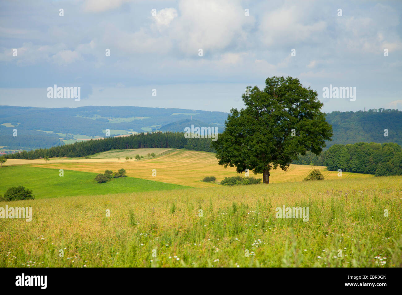 low mountains landscape of Rhoen, Germany, Thueringen, Rhoen, Hohe Geba Stock Photo