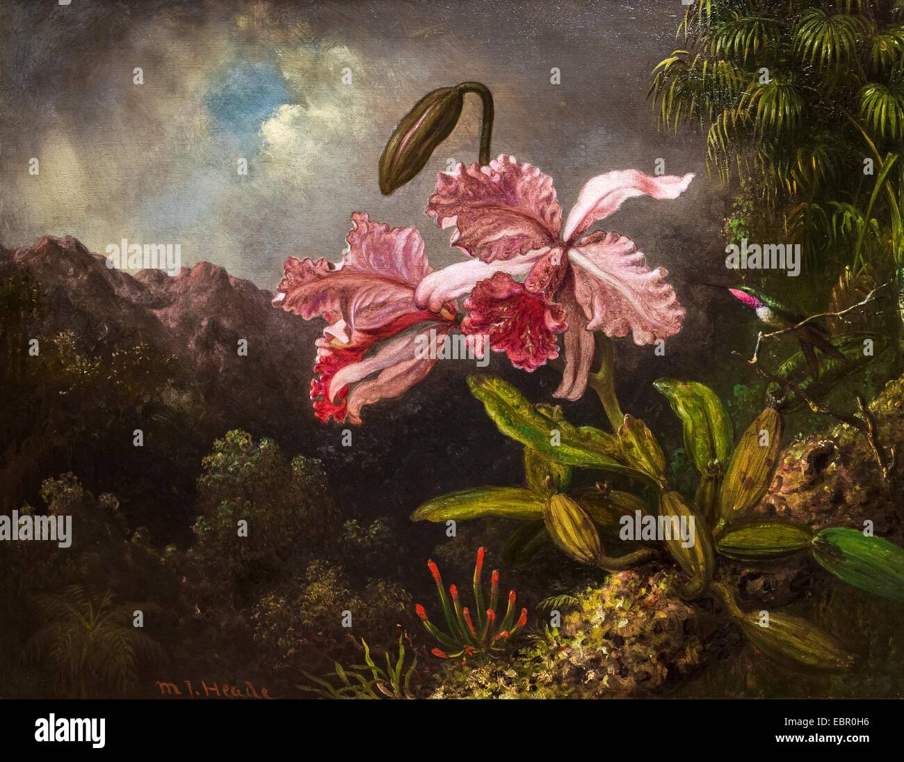Jungle landscape painting hi-res stock photography and images - Alamy
