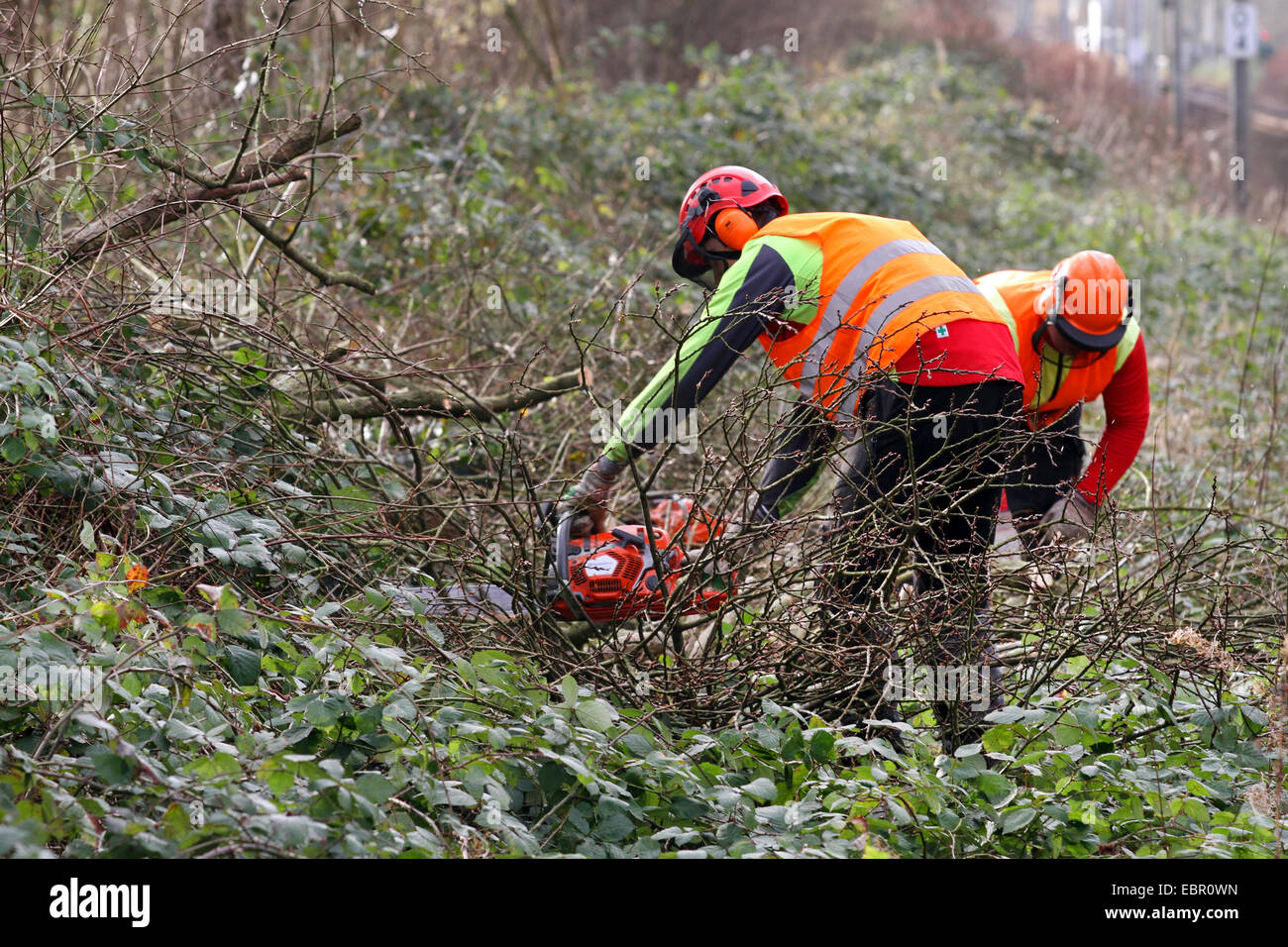 cutting back the vegetation beside railroad tracks, Germany Stock Photo