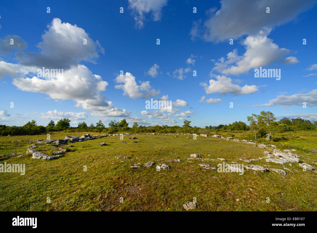 stone circle at Stora Alvaret on Oeland, Sweden, Oeland, Mysinge Naturreservat und Gynge Naturreservat Stock Photo