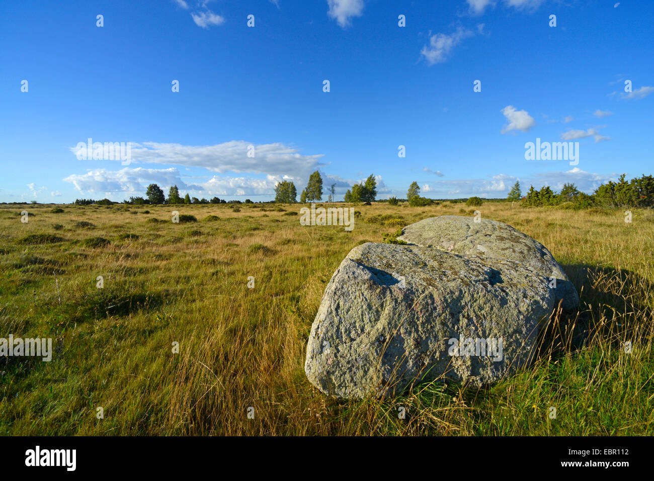 rock at Stora Alvaret on Oeland, Sweden, Oeland Stock Photo