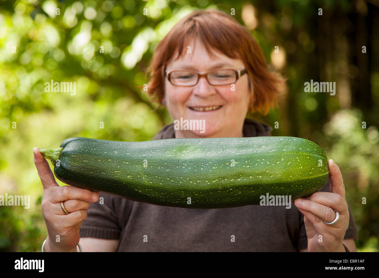 courgette, zucchini (Cucurbita pepo var. giromontiia, Cucurbita pepo subsp. pepo convar