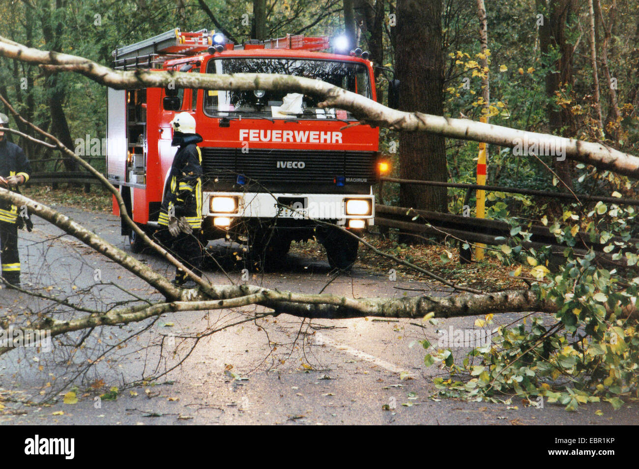 firemen clearing fallen tree on road, Germany Stock Photo