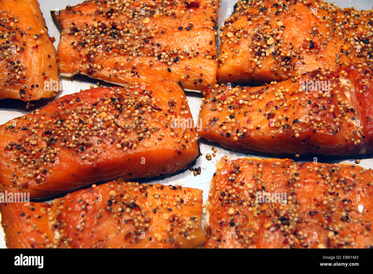 salmon with peppercorns at a fish stand, Germany Stock Photo
