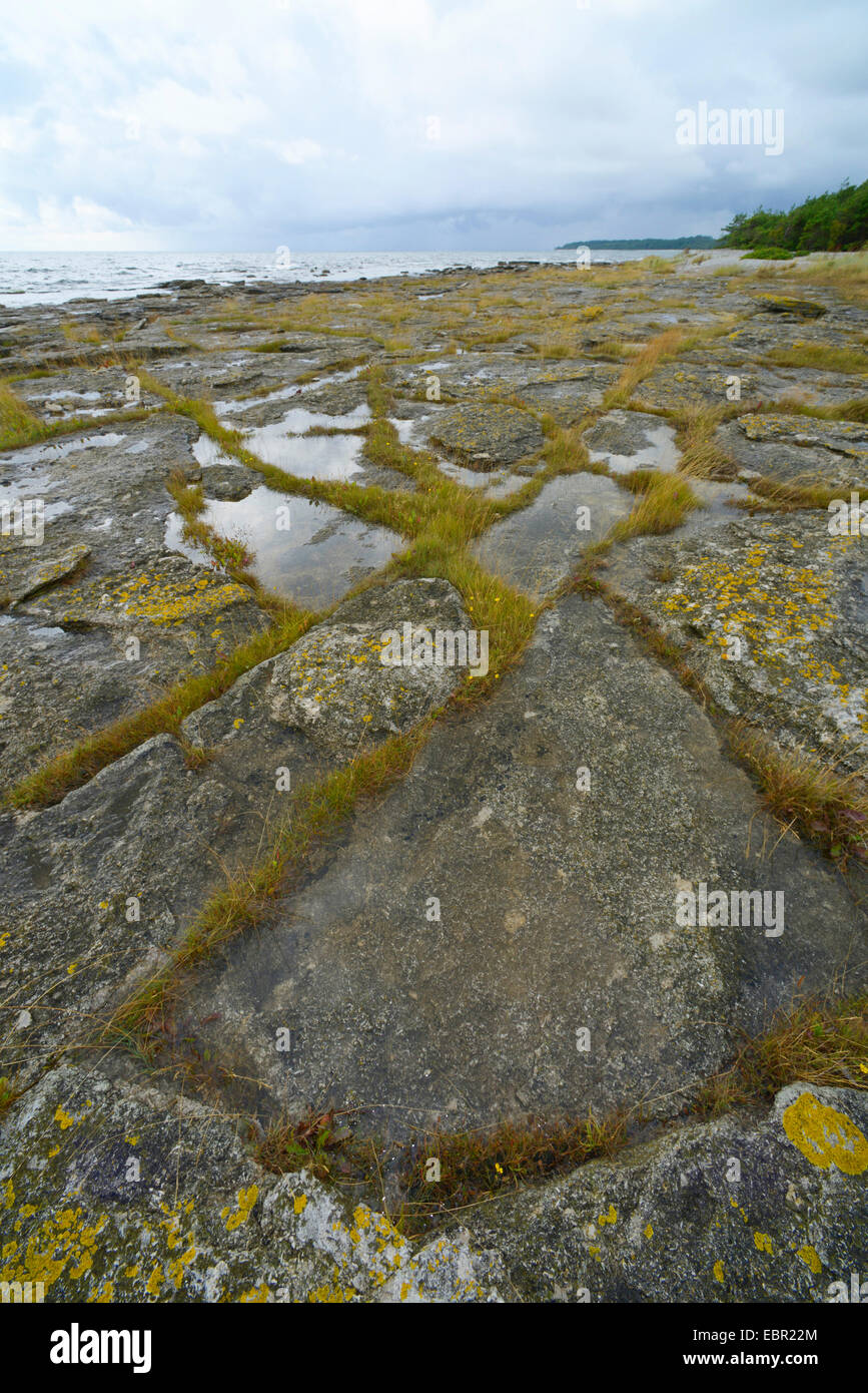 rocky coast at the Swedish island Faroe, Sweden, Gotland Stock Photo