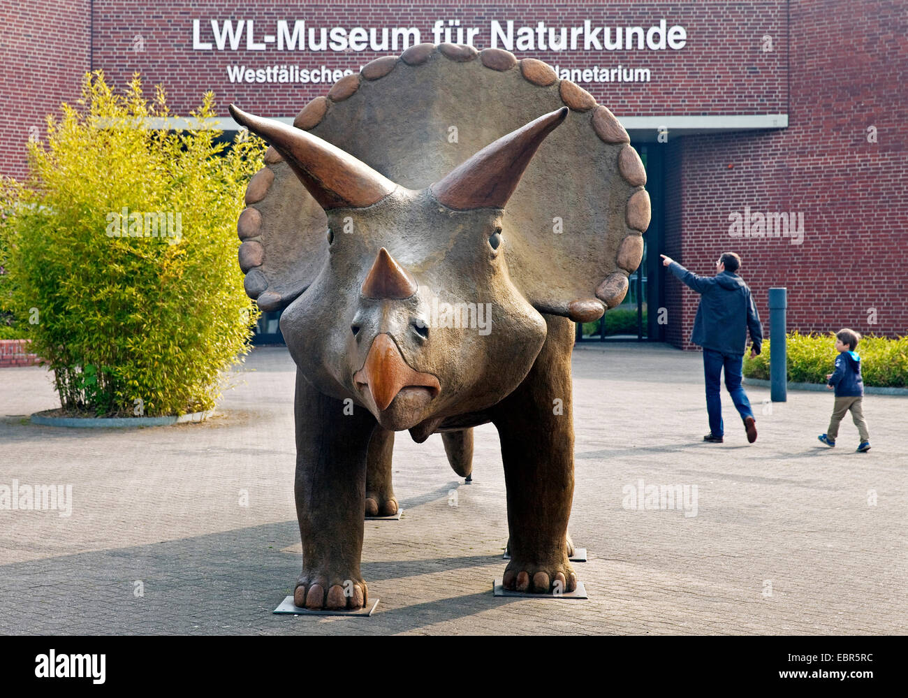 model of a dinasaur in front of museum of natural history, Germany, North Rhine-Westphalia, Muenster Stock Photo