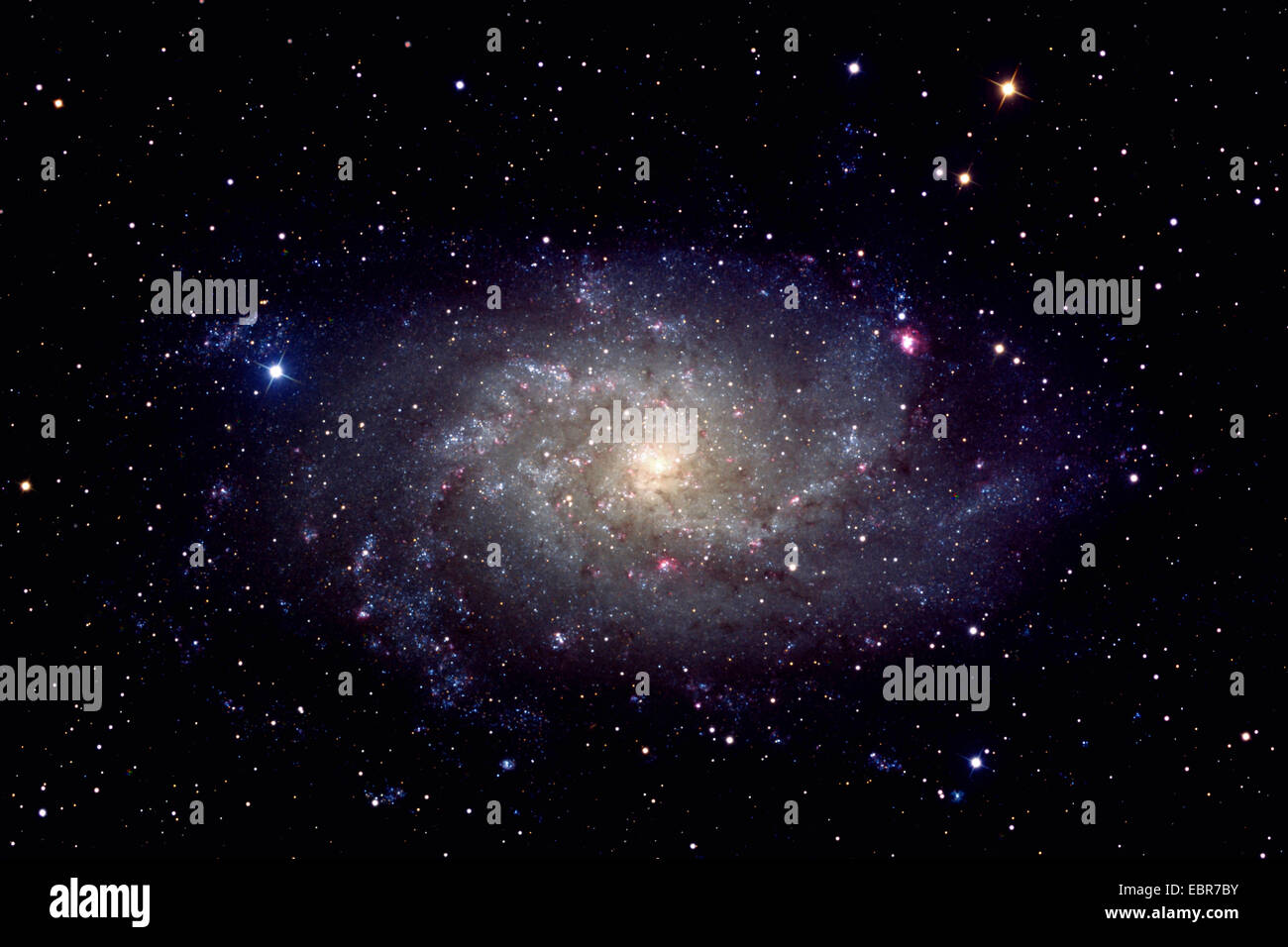Triangulum Galaxy, Messier 33 (M33), the great galaxy in the constellation of Triangulum Stock Photo