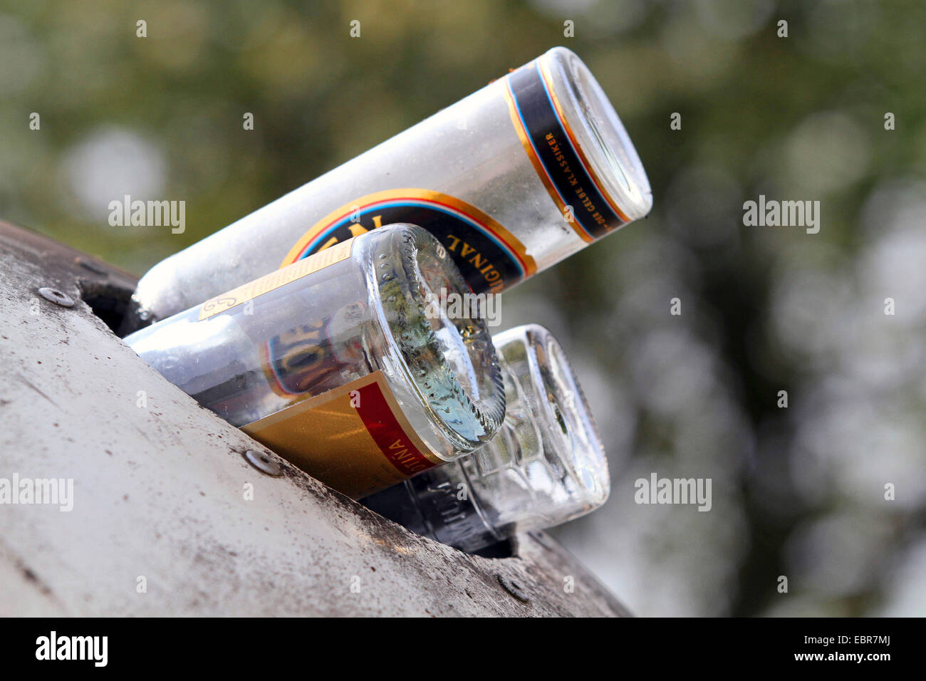 glass bottles in the opening of a bottle bank, Germany Stock Photo
