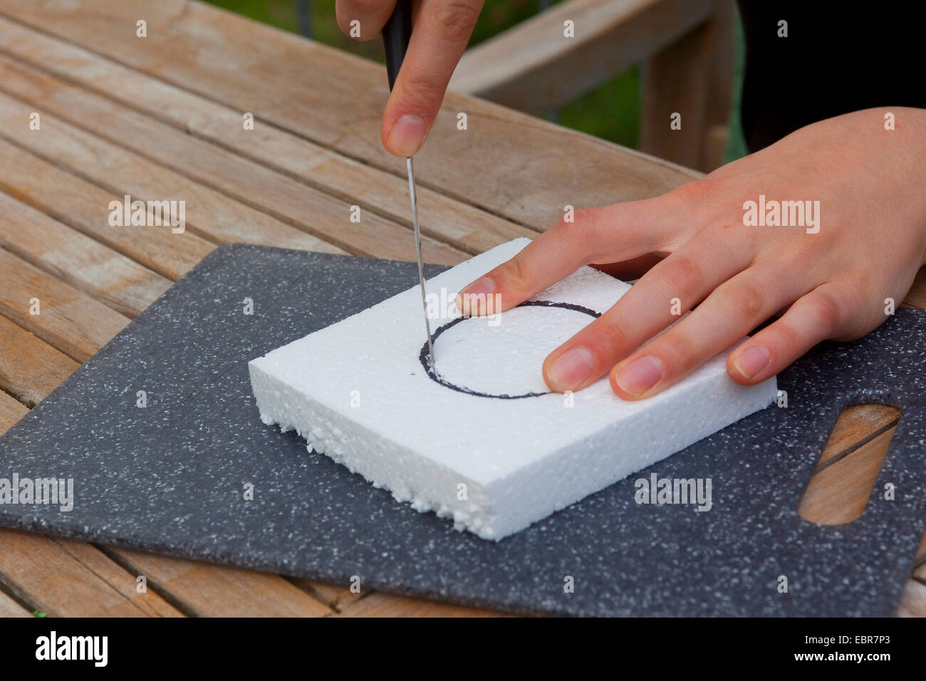 teenager cutting out a circle out of styrofoam with a knife , Germany Stock Photo
