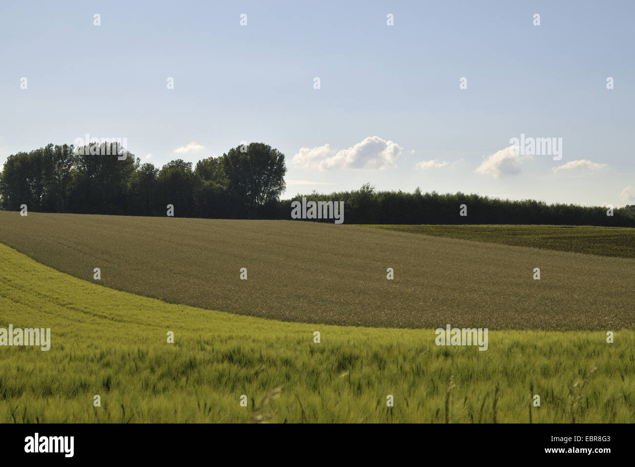 hilly field landscape Stock Photo