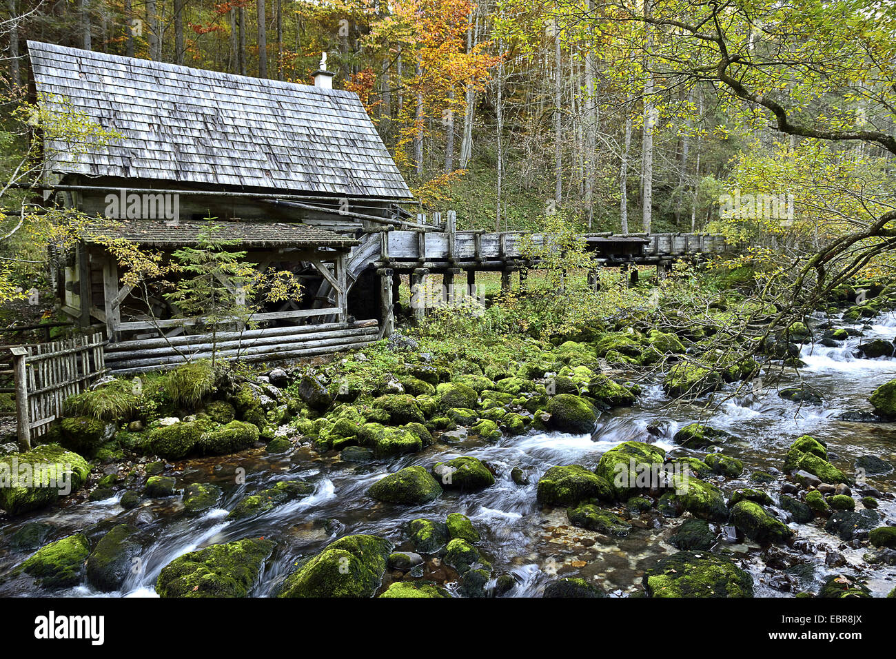 old mill at creek Pieslingbach near Windischgarsten, Austria, Upper Austria Stock Photo