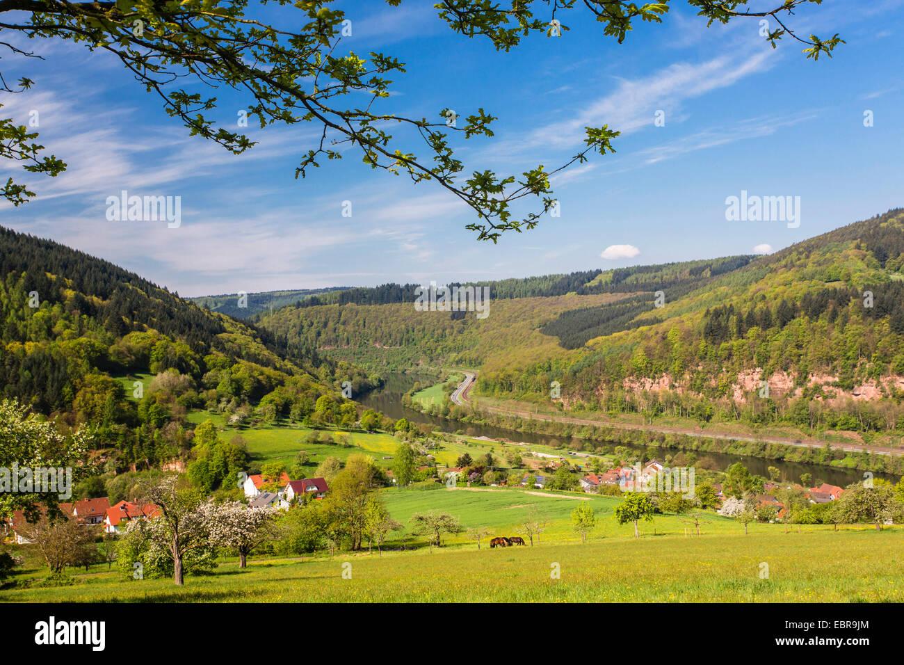 view onto the Neckar valley near Pleutersbach in spring, Germany, Baden-Wuerttemberg, Naturpark Neckartal-Odenwald Stock Photo