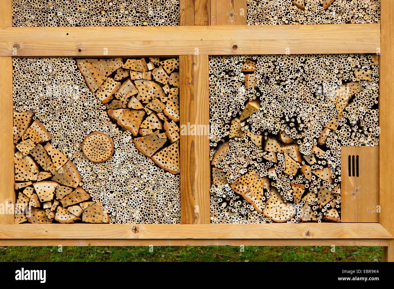 artificial insect breeding help, Germany, North Rhine-Westphalia Stock ...