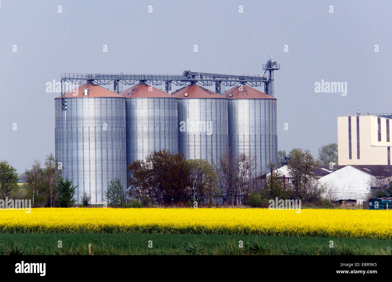 grain silos, Germany, North Rhine-Westphalia, Duerscheven, Zuelpich Stock Photo