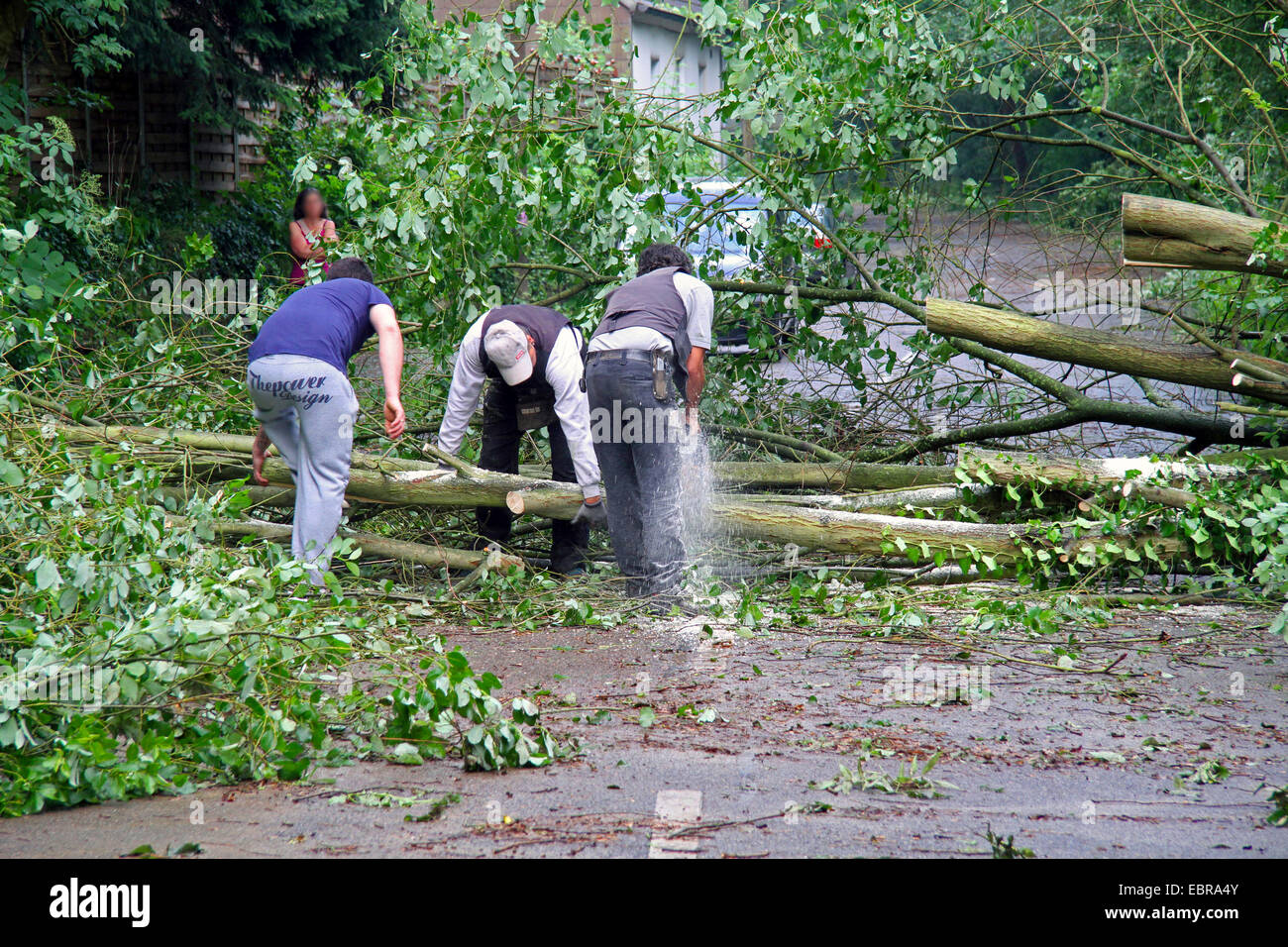 three men removing a fallen trunk of a willow from a street, storm front Ela at 2014-06-09, Germany, North Rhine-Westphalia, Ruhr Area, Essen Stock Photo