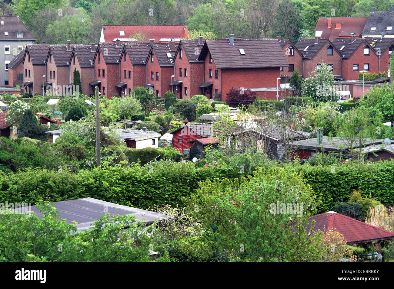 garden plots and town houses, Germany, North Rhine-Westphalia, Ruhr Area, Essen Stock Photo